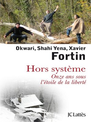 cover image of Hors systeme